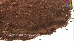 black garlic powder