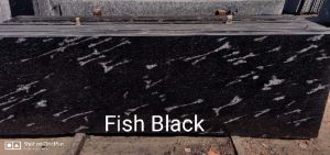 FISH BLACK GRANITE