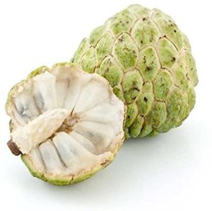 Fresh Sugar Apple Fruit