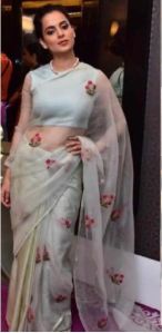 organza saree