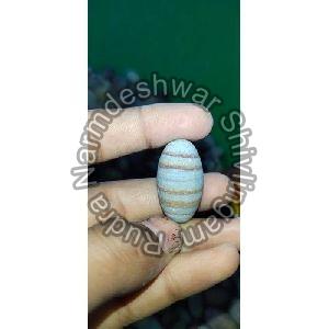 Worship Banalinga Shivling