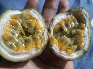 organic passion fruits