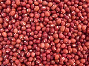 Red Sorghum Seeds