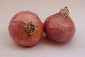 Fresh Pink Onion