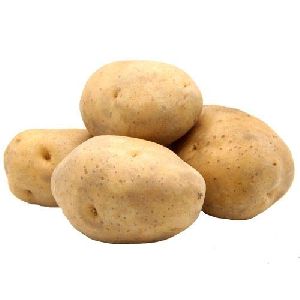 Fresh Big Potato