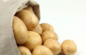 fresh organic potato