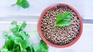 Coriander Seeds