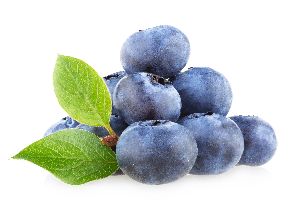 Fresh Blueberry