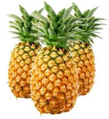 Fresh Pineapple