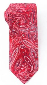 Paisley Pattern Mens Tie