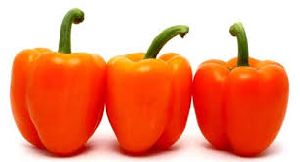 Fresh Orange Capsicum