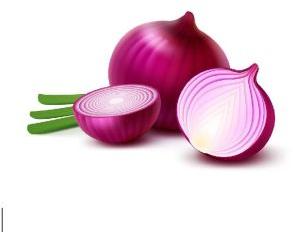 Fresh Red Onion