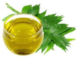 Neem Oil