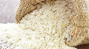 Raw Sona Rice