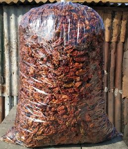 Dried Red Chilli