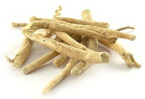 Ashwagandha Roots (Withania Somnifera Roots)