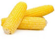 Yellow Corn