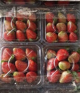 Fresh Natural Strawberry