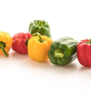 Fresh Capsicum