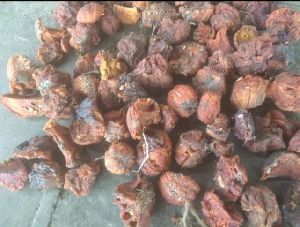 Dried Nagarmotha