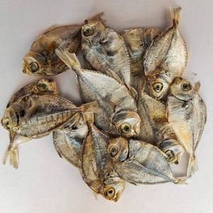 Dry Fish