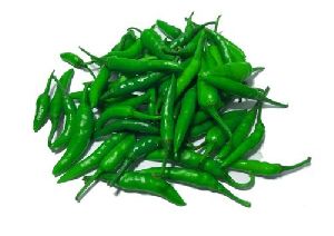 Fresh Green Chilli