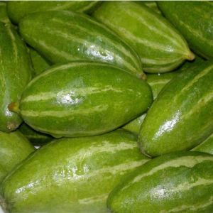 Fresh Pointed Gourd