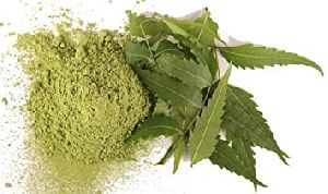 100% Pure and Organic Neem Leaves and Powder