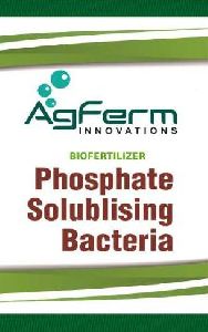 Phosphate Solubilizing Bacteria Biofertilizer