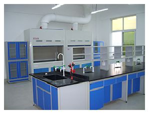 Laboratory Fume Hood