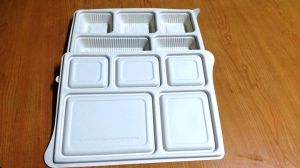 Biodegradable 5 section mealtray with lid