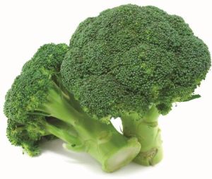 Fresh Broccoli