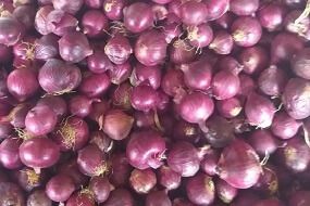 bangalore rose onions