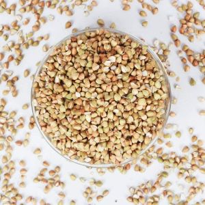 Buckwheat Seeds