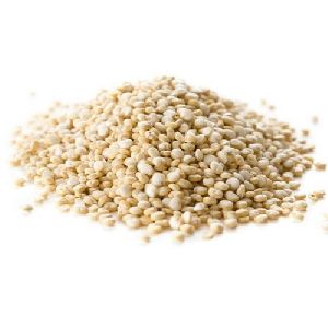 Quinoa Seeds