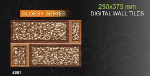 250x375mm Glossy Elevation Series Digital Wall Tiles