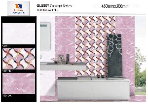 300x450mm Glossy Concept Series Digital Wall Tiles