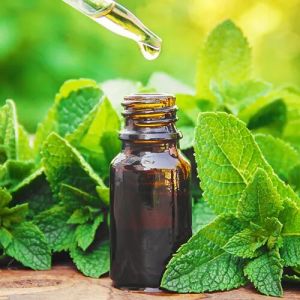 Peppermint Oil