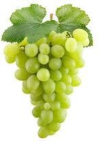 Fresh Grapes