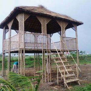 bamboo house