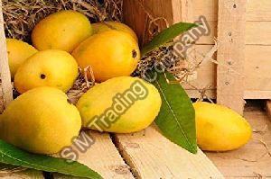 Fresh Chaunsa Mango