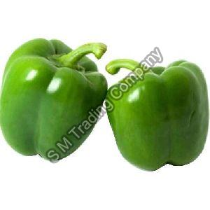 Fresh Green Capsicum