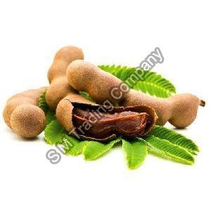Fresh Tamarind