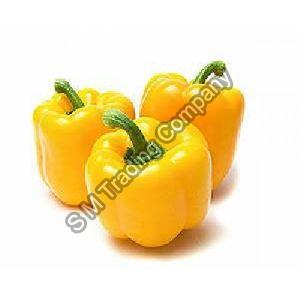 Fresh Yellow Capsicum