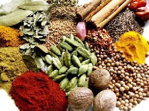 Indian spices