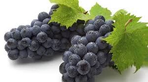 Fresh Black Grapes