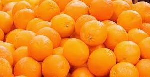 Fresh Orange