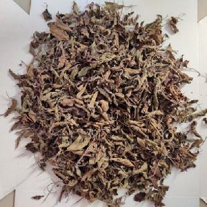 Shyama Tulsi Dry leaf(Ocimum Sanctum)