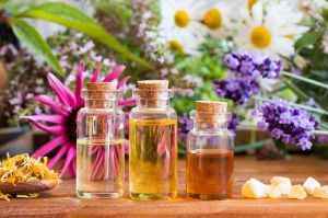 Geranium Oil