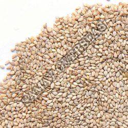 Sesame Seeds